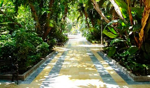 Alameda de Marbella