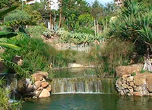 Park Paloma