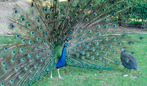 Park Paloma Benalmadena