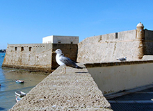 Castillo Santa Catalina