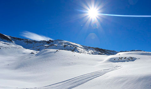 Sierra Nevada
