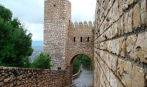 Zamek